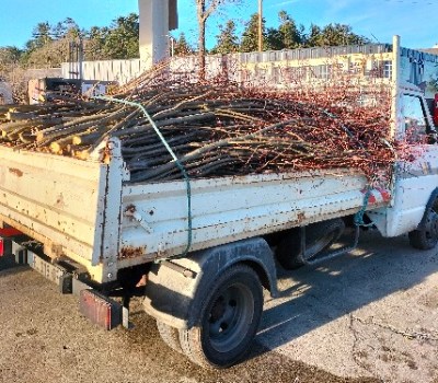 Broyage des Déchets Verts