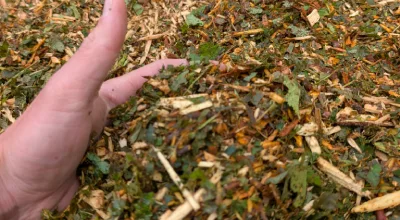Broyage des déchets verts