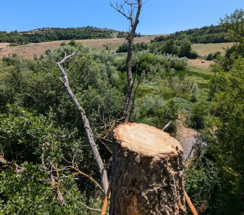 CEN Auvergne